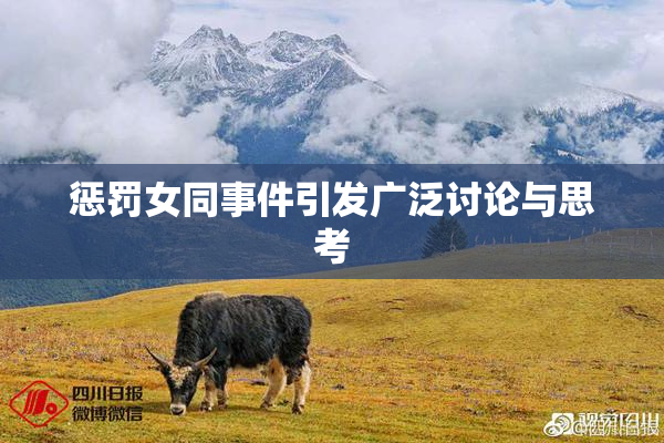 惩罚女同事件引发广泛讨论与思考