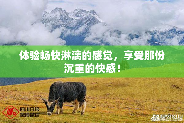 体验畅快淋漓的感觉，享受那份沉重的快感！