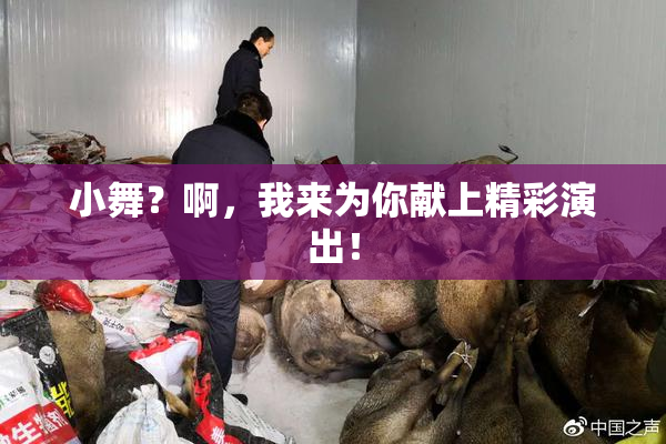 小舞？啊，我来为你献上精彩演出！