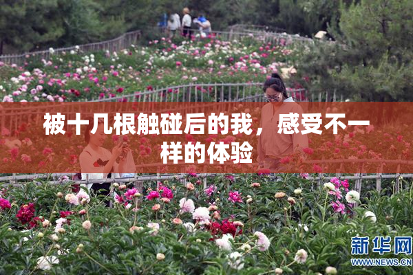 被十几根触碰后的我，感受不一样的体验