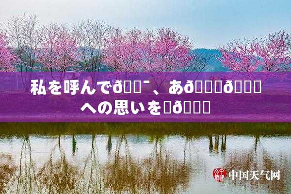 私を呼んで🔯、あ🍑👅への思いを語🌃