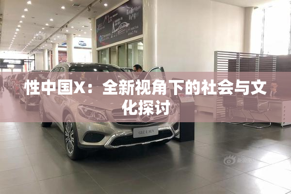 性中国X：全新视角下的社会与文化探讨