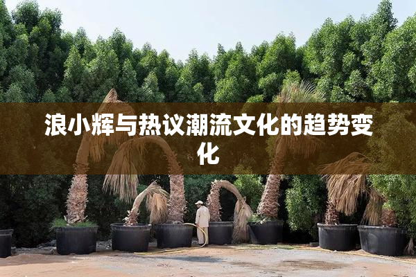 浪小辉与热议潮流文化的趋势变化
