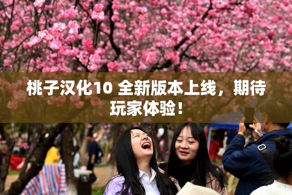 桃子汉化10 全新版本上线，期待玩家体验！