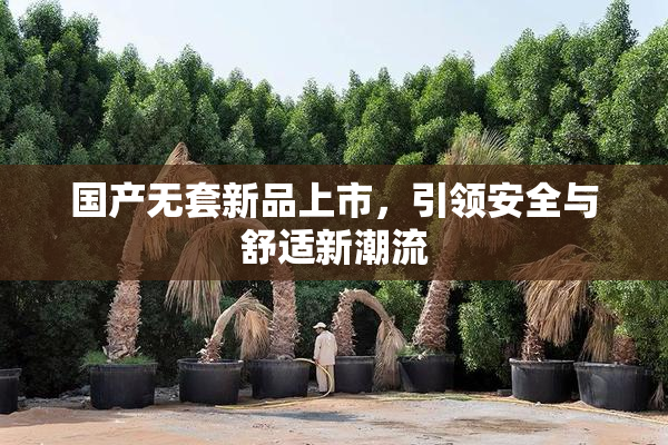 国产无套新品上市，引领安全与舒适新潮流