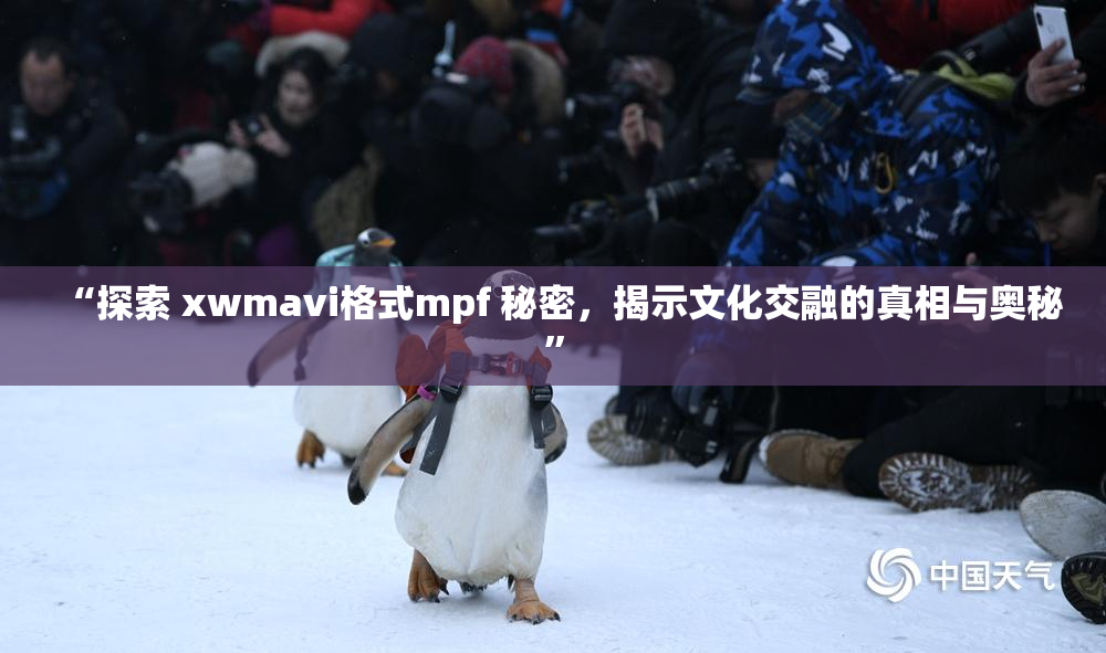 “探索 xwmavi格式mpf 秘密，揭示文化交融的真相与奥秘”
