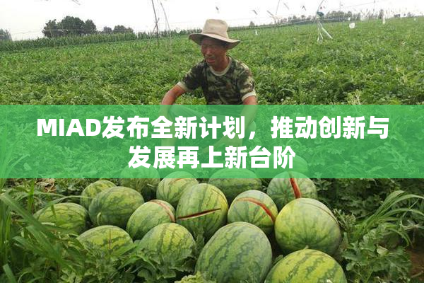 MIAD发布全新计划，推动创新与发展再上新台阶