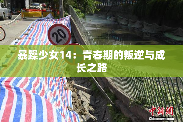 暴躁少女14：青春期的叛逆与成长之路
