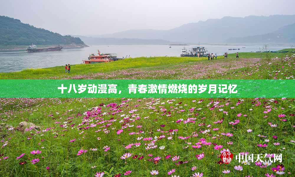 十八岁动漫高，青春激情燃烧的岁月记忆