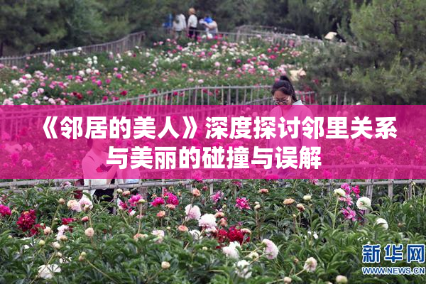 《邻居的美人》深度探讨邻里关系与美丽的碰撞与误解