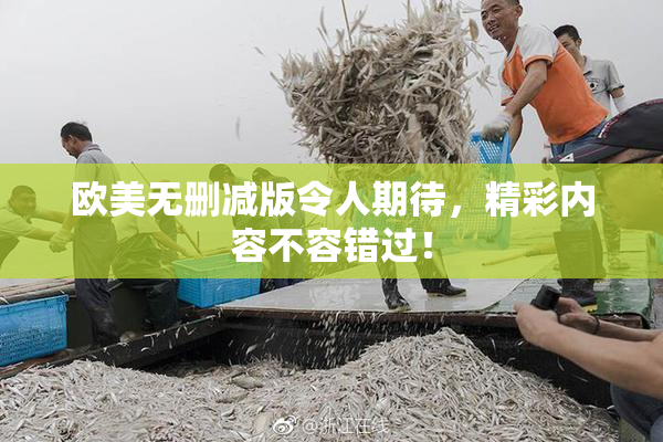 欧美无删减版令人期待，精彩内容不容错过！