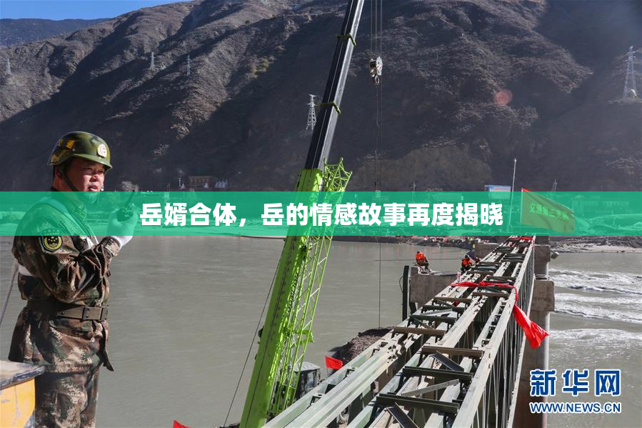 岳婿合体，岳的情感故事再度揭晓