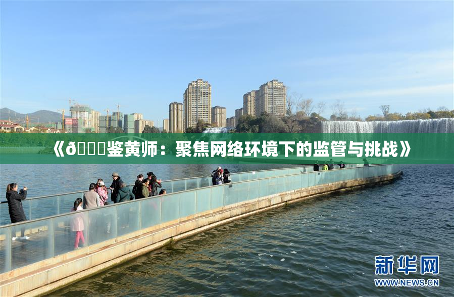 《🔞鉴黄师：聚焦网络环境下的监管与挑战》