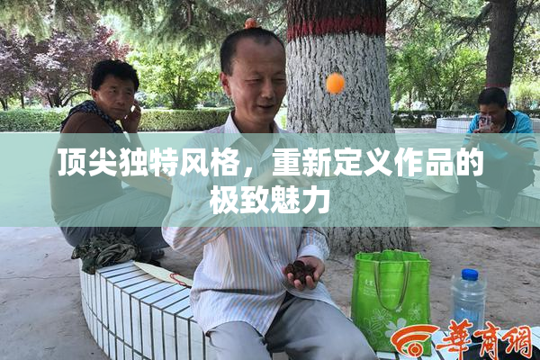 顶尖独特风格，重新定义作品的极致魅力