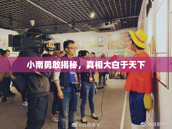 小南勇敢揭秘，真相大白于天下