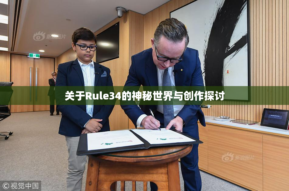 关于Rule34的神秘世界与创作探讨