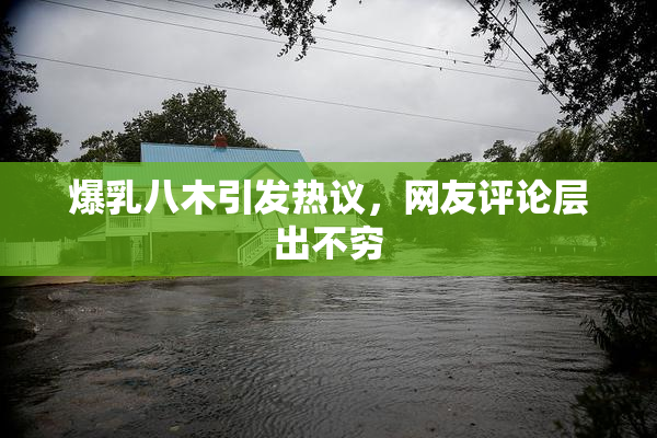 爆乳八木引发热议，网友评论层出不穷