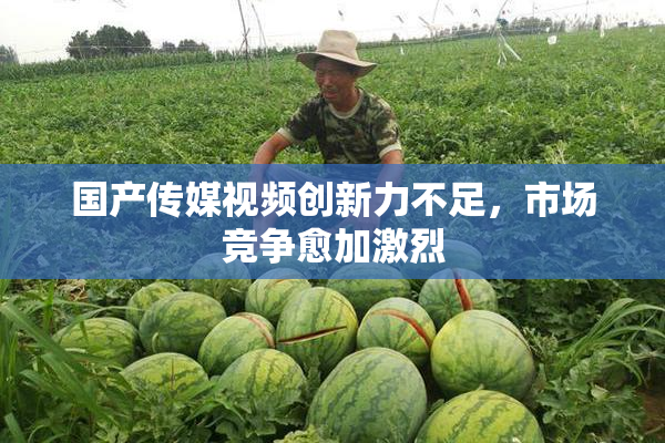 国产传媒视频创新力不足，市场竞争愈加激烈