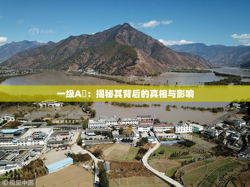 一级A婬：揭秘其背后的真相与影响