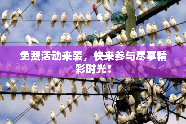 免费活动来袭，快来参与尽享精彩时光！