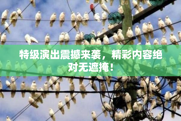 特级演出震撼来袭，精彩内容绝对无遮掩！