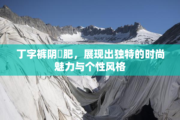 丁字裤阴脣肥，展现出独特的时尚魅力与个性风格