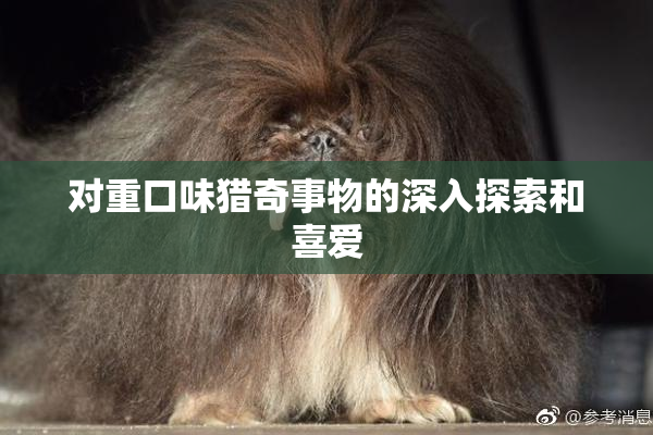 对重口味猎奇事物的深入探索和喜爱