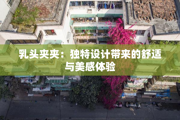 乳头夹夹：独特设计带来的舒适与美感体验