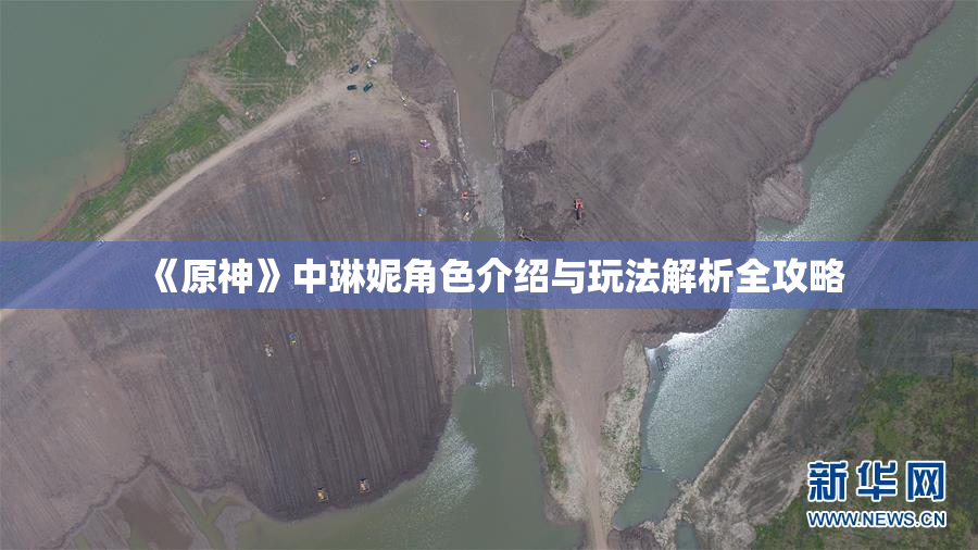 《原神》中琳妮角色介绍与玩法解析全攻略