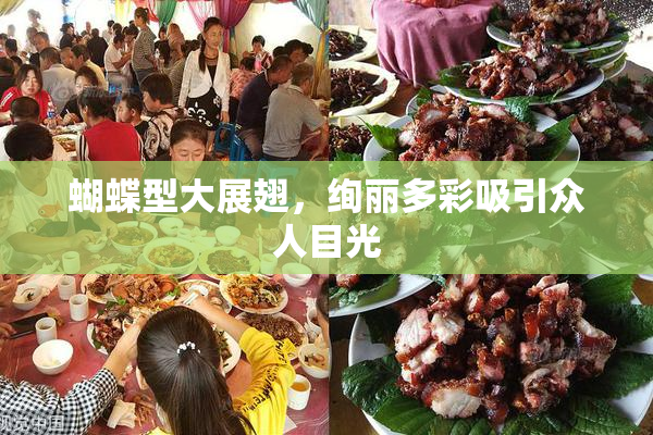 蝴蝶型大展翅，绚丽多彩吸引众人目光