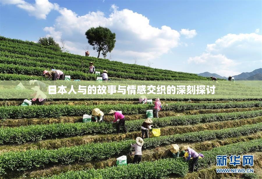 日本人与的故事与情感交织的深刻探讨