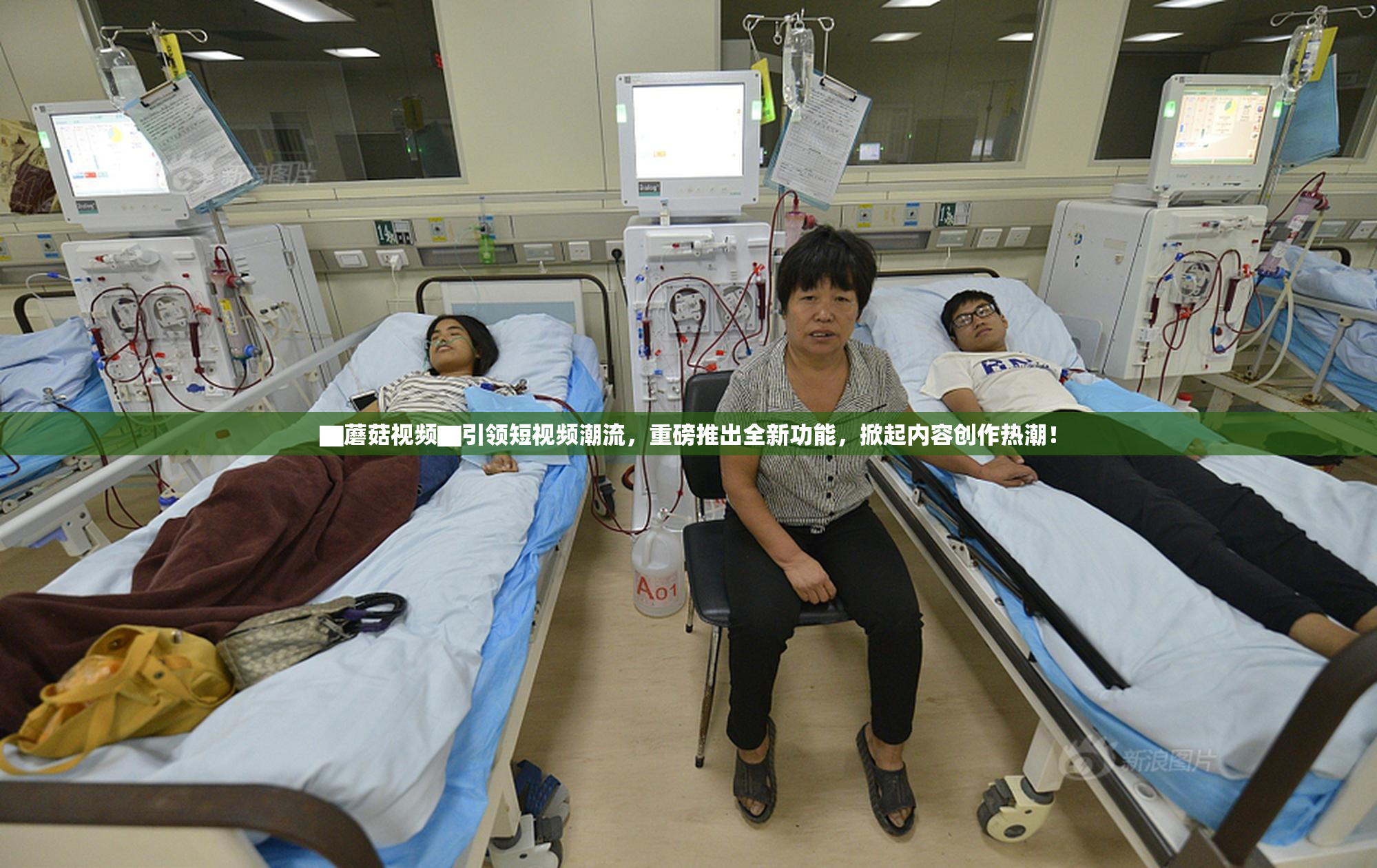 ▇蘑菇视频▇引领短视频潮流，重磅推出全新功能，掀起内容创作热潮！