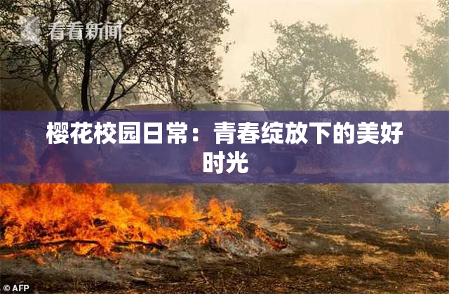 樱花校园日常：青春绽放下的美好时光
