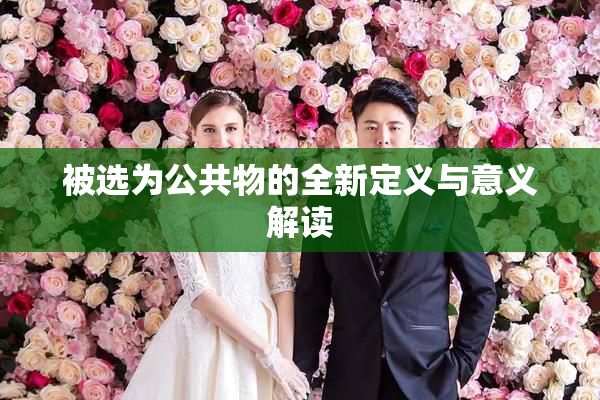 被选为公共物的全新定义与意义解读