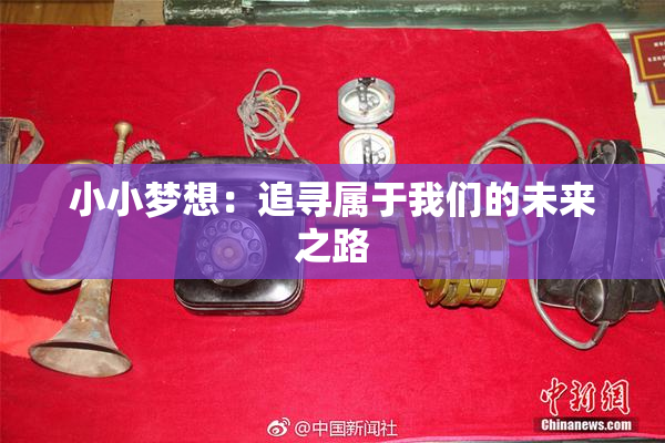 小小梦想：追寻属于我们的未来之路