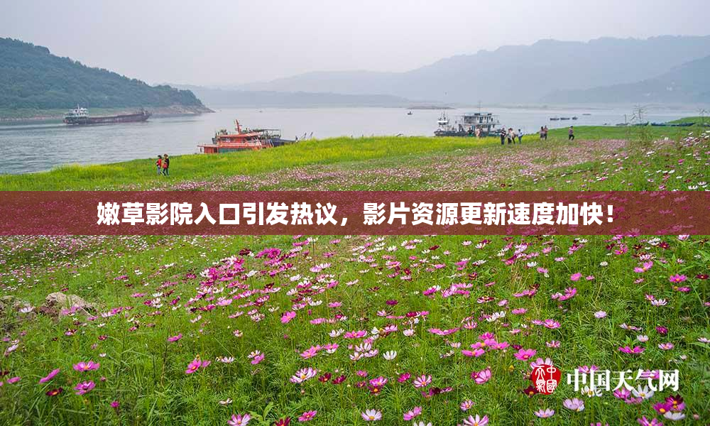 嫩草影院入口引发热议，影片资源更新速度加快！