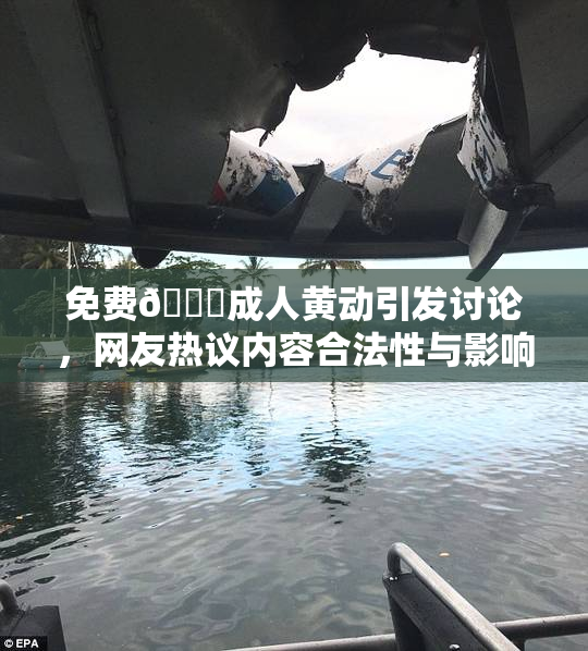 免费🔞成人黄动引发讨论，网友热议内容合法性与影响