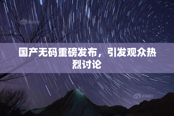 国产无码重磅发布，引发观众热烈讨论
