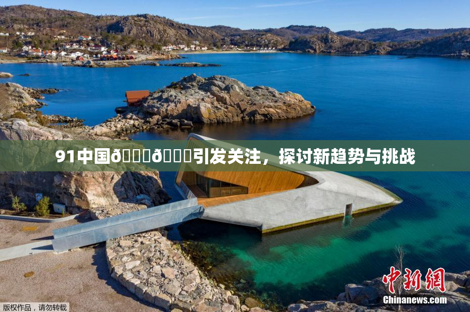 91中国🍆🍑引发关注，探讨新趋势与挑战