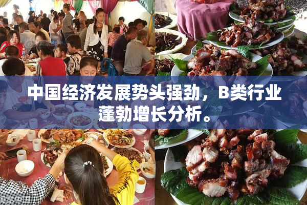 中国经济发展势头强劲，B类行业蓬勃增长分析。