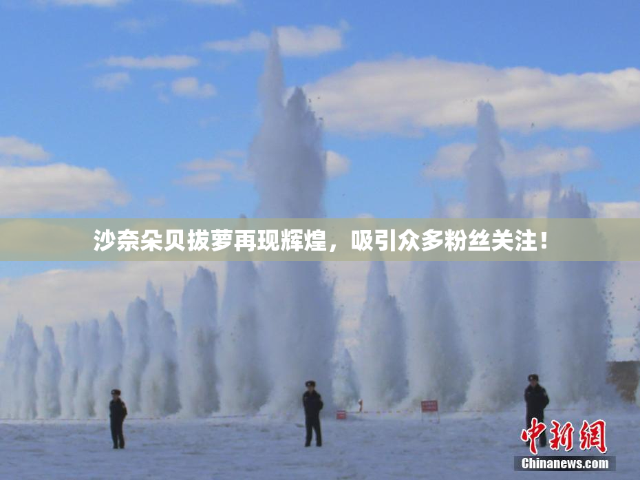 沙奈朵贝拔萝再现辉煌，吸引众多粉丝关注！