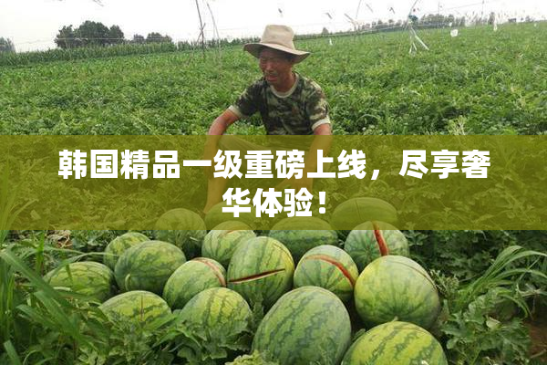 韩国精品一级重磅上线，尽享奢华体验！