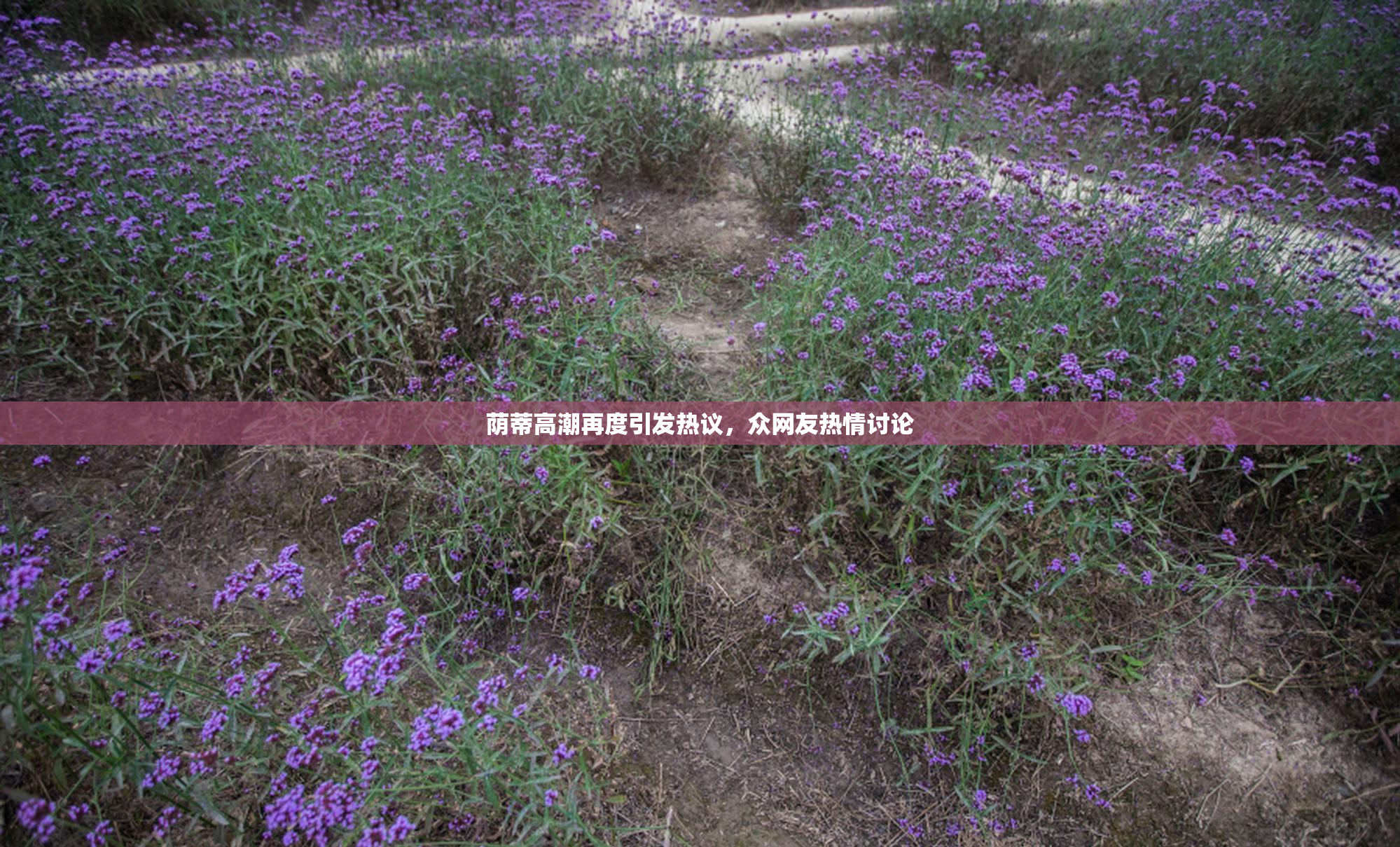 荫蒂高潮再度引发热议，众网友热情讨论