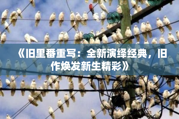 《旧里番重写：全新演绎经典，旧作焕发新生精彩》