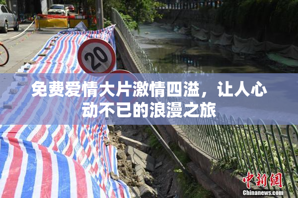免费爱情大片激情四溢，让人心动不已的浪漫之旅