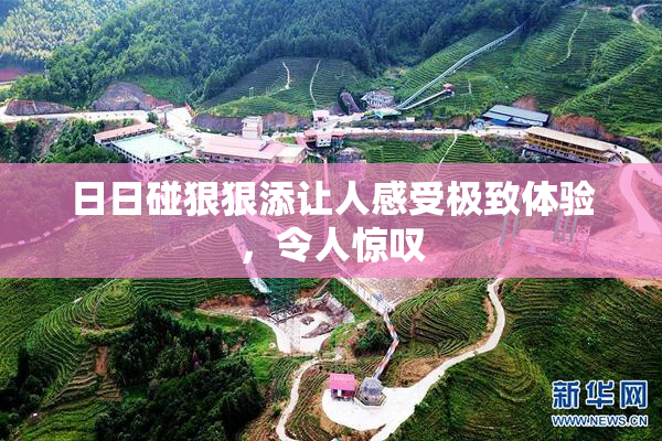 日日碰狠狠添让人感受极致体验，令人惊叹