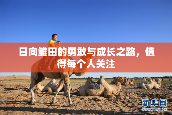 日向雏田的勇敢与成长之路，值得每个人关注