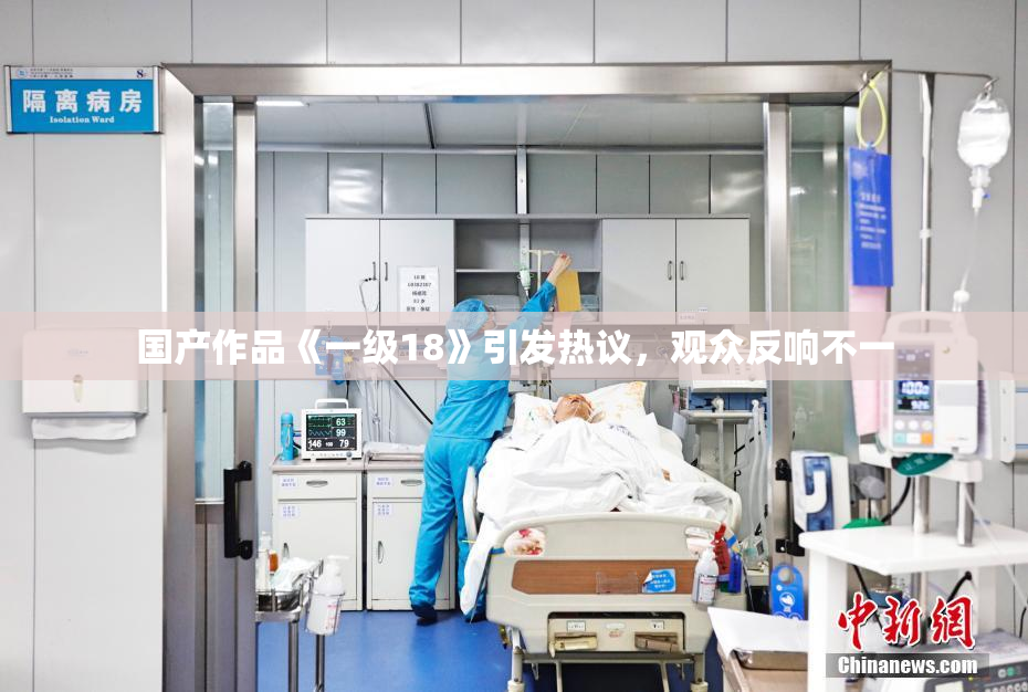 国产作品《一级18》引发热议，观众反响不一