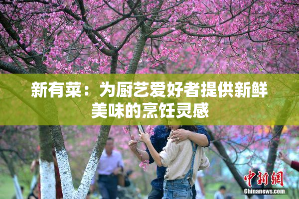 新有菜：为厨艺爱好者提供新鲜美味的烹饪灵感