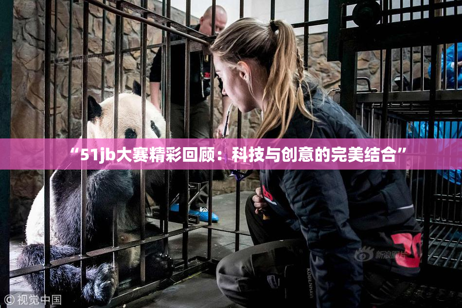 “51jb大赛精彩回顾：科技与创意的完美结合”